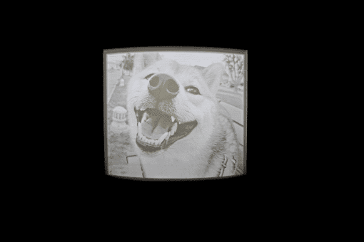 Custom Lithophane Night Light - Image 2